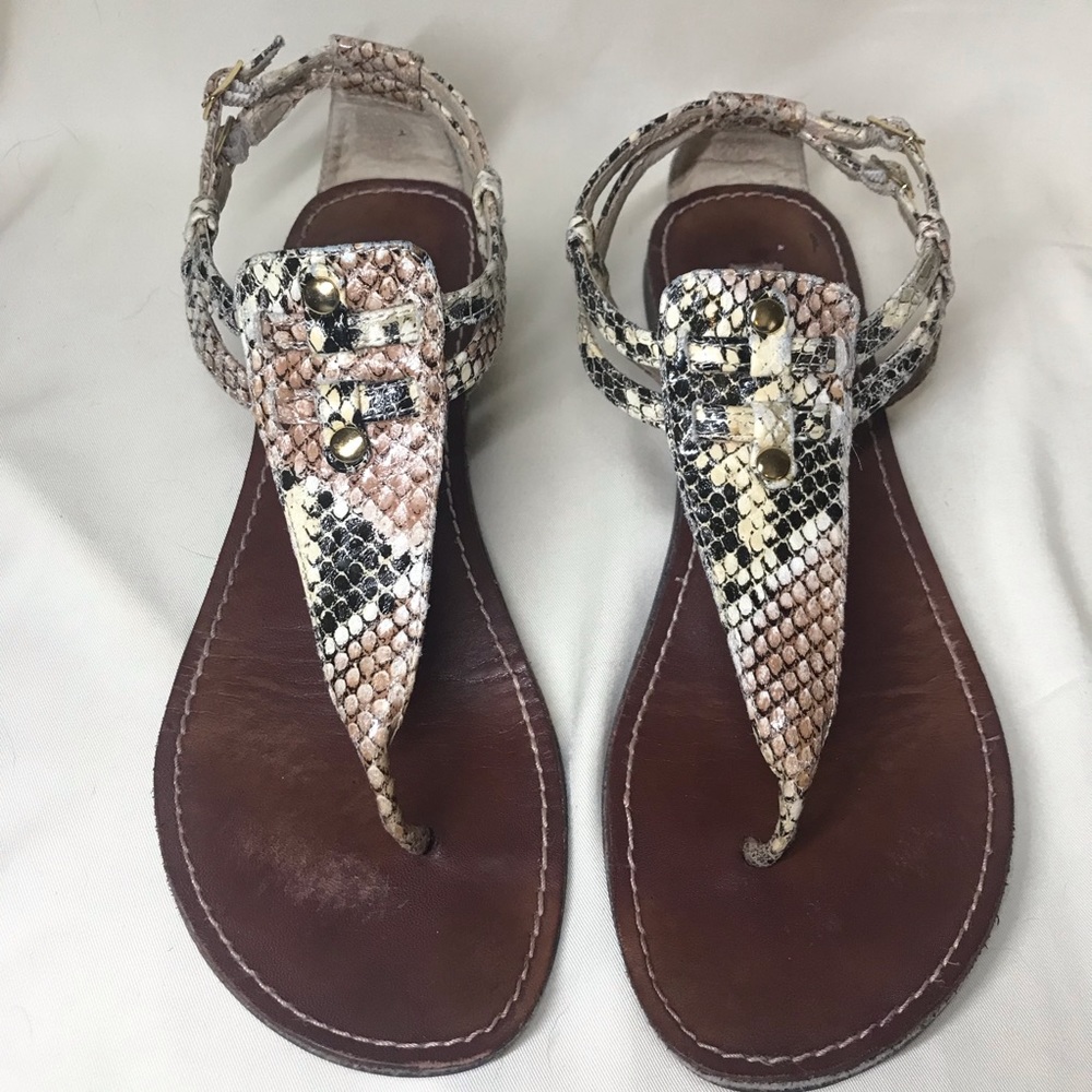Steve Madden Python/Snake Print Sandals
